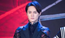 尹正爆料大蛇丸视频大全,大蛇丸视频大全背后的惊人真相